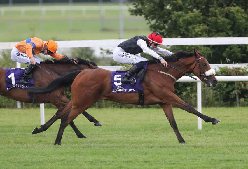 Tahiyra, Inspiral and Homeless Songs headline stellar cast in Group 1 Coolmore America ‘Justify’ Matron Stakes
