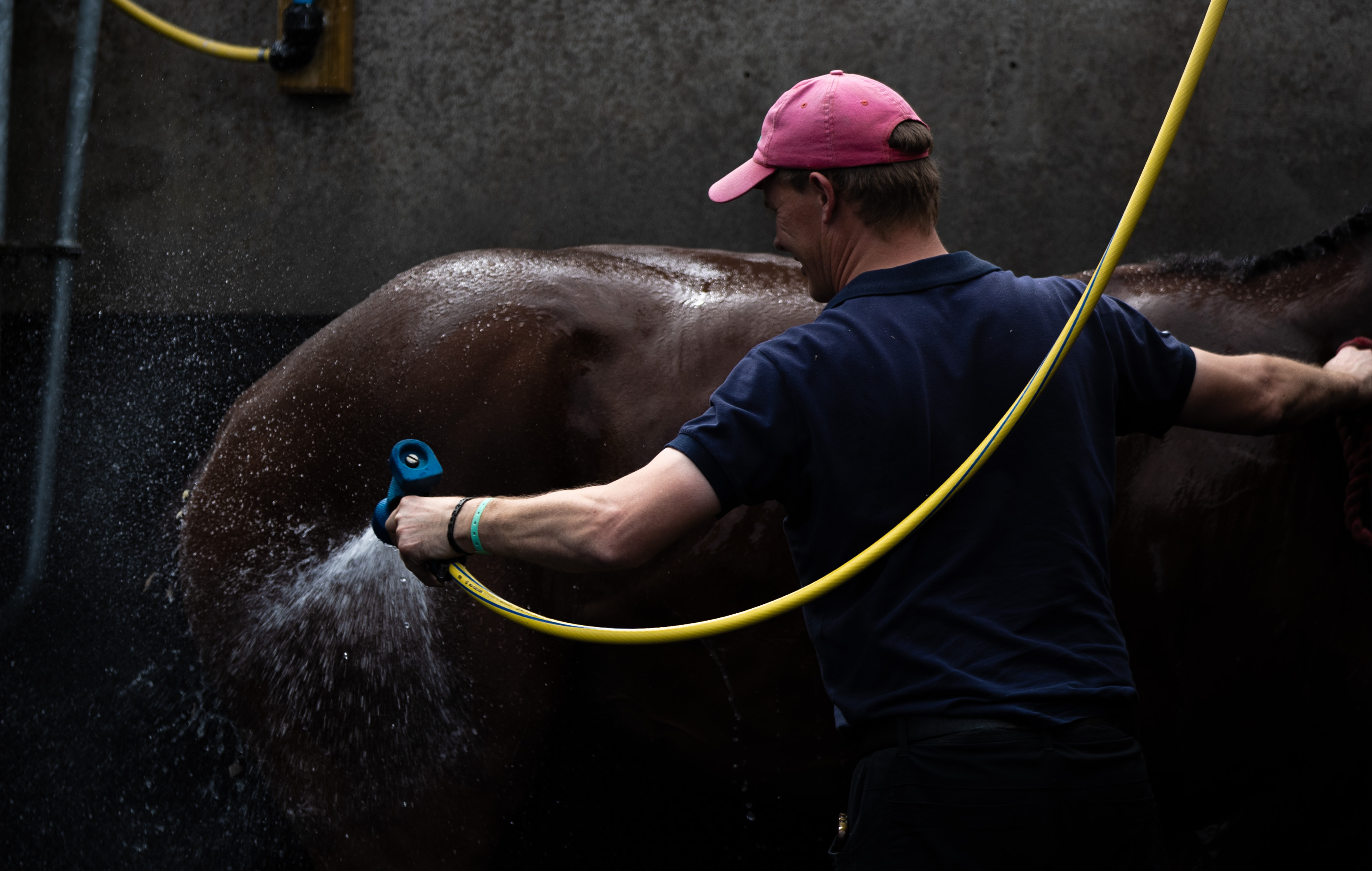 Racecourse stables and equine care