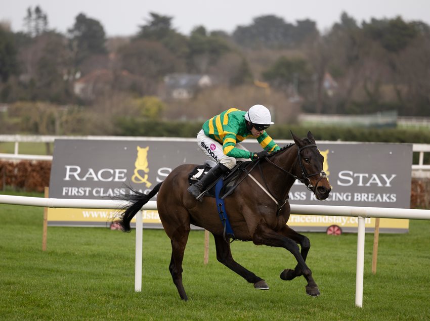 Familiar faces target Dublin Racing Festival
