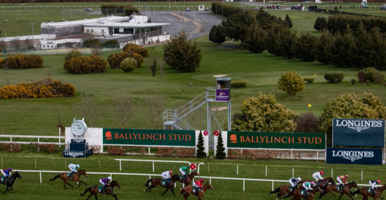 Ballylinch stud classic trials day