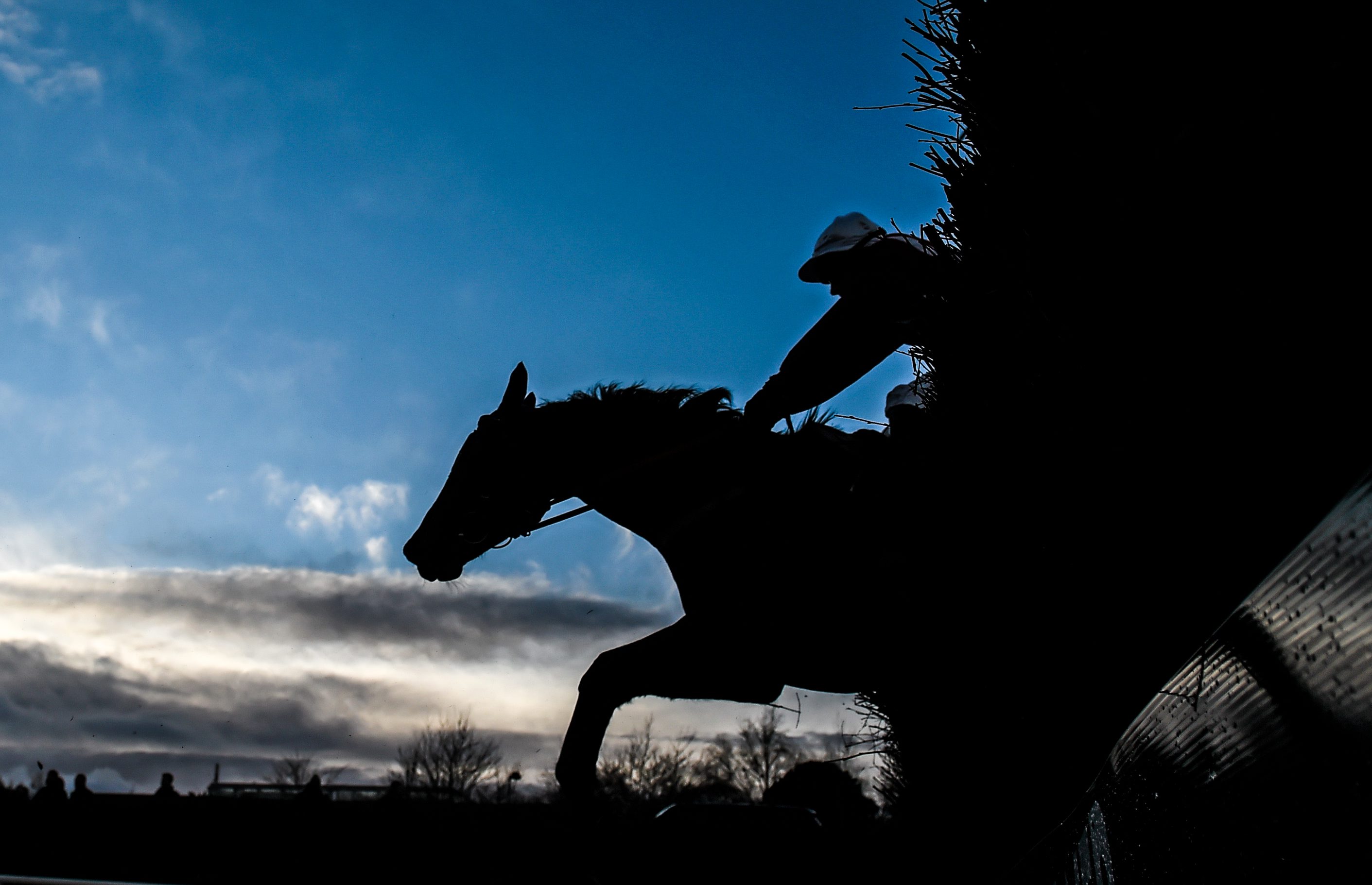 Gallopers and Schoolers