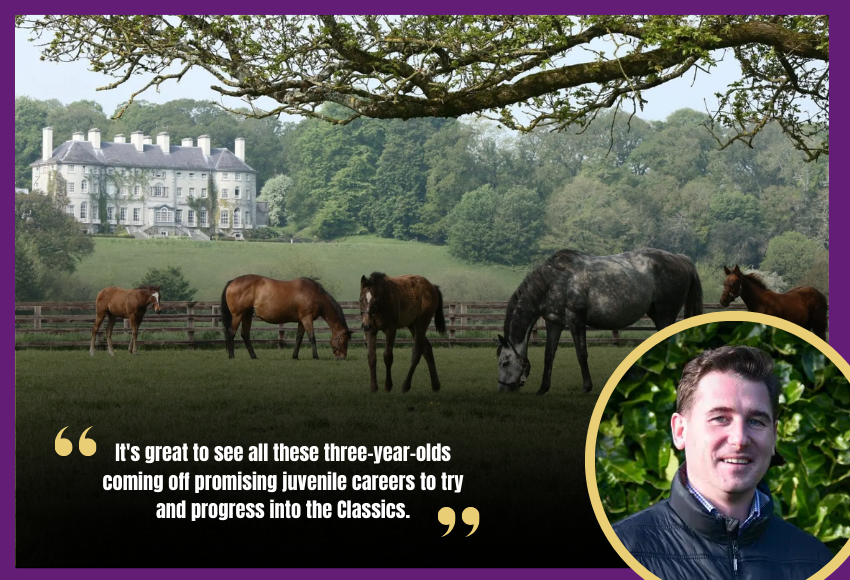 Eoin Fives on Bloodstock and Nominations at Ballylinch Stud 