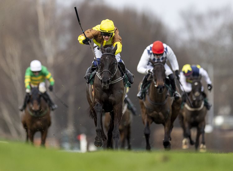 Stars on course for next month’s Dublin Racing Festival